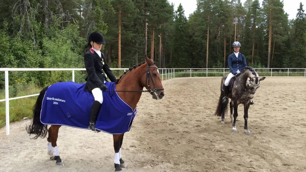 Det blev trippelt guld för Bodens ridklubb när distriktsmästerskapen i ponnydressyr avgjordes i Piteå i helgen.
Guldet i kategori B gick till Julia Järnberg på Greta, Fanny Wiren på hästen Clara blev distriktsmästare i kategori C och i kategori D vann Paulina Molander på Golden Garlic RC, samtliga distriktsmästare representerar Bodens ridklubb.

På bilden syns Fanny Wiren på Clara och Paulina Molander på Golden Garlic RC 97.