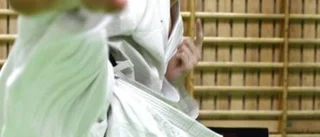 André riksmästare i karate