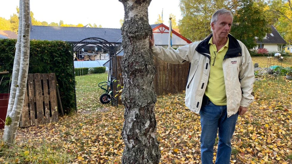 2009 staplade Lars Hammarstedt ved här, bakom sitt hus i Hummelsta. Marken tillhör kommunen och han anmäldes. "Det var naturligtvis fel av mig men jag tog bort veden direkt. Ändå tog det elva och ett halvt år för kommunen att avsluta ärendet", säger han.