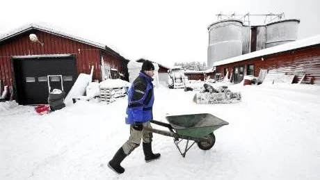 OKLART BESLUT. Roger Larsson i Orrbyn har beslutat sig för att driva jordbruket vidare, nu med mjölkkor i stället för köttdjur. Om han ändå måste bygga en ny gödselplatta är lite oklart trots miljönämndens beslut på torsdagen.