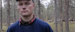 Renskötare oroade över växande björnstam
