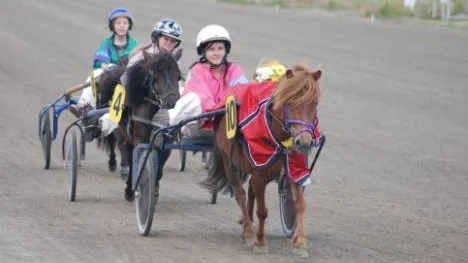 Sara Eriksson defilerar efter segern med Solos Unika Primula.