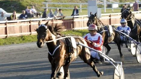 Favoriten Clara Celeber (Jan Norberg) vinner det  fjärde V5-loppet före starkt sprutande Arnie Road (Lars Marklund)