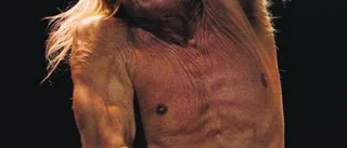 Oklar framtid för Iggy och Stooges
