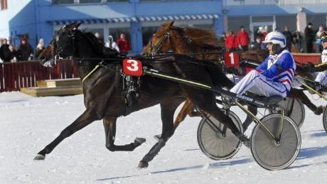 SKRÄLL. 58-oddsaren Kos Elden och Lennart Nygren tog överraskande segern i V5-2. "Får han vara frisk törs jag säga att han vinner fler lopp i år", sa Nygren.