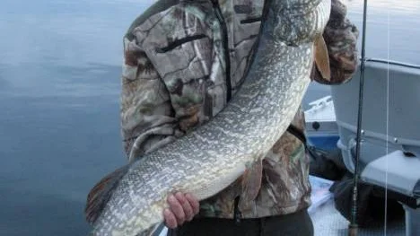 David Svensson tog en bastant ledning i gäddklassen med sin bastanta gädda på 10,79 kilo, fångad i Uddjaur.