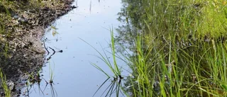 Mystiska utsläppet i Kallax