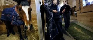 Hästars möte blir ett fall för polisen