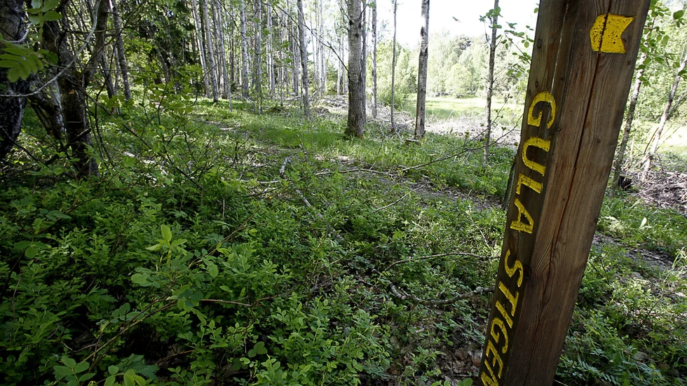 Uppsala kommun borde även skydda öppna marker i anslutning till Gula stigen, skriver Hans Åberg.