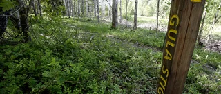 Naturreservatet – ett icke-beslut