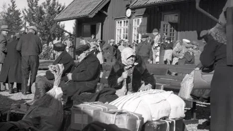 Finska flyktingar som kom med godståg till Pitebygden hösten 1944.