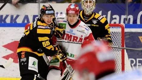 Det blev ingen kul debut för Skellefteås nyförvärv Martin Sevc (bilden) och Ryan Vesce i lördags. Timrå var ofina gäster, åkte hem med alla tre poäng och 3-1 i mål.