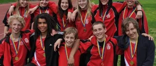 PIF-ungdomar till riksfinal