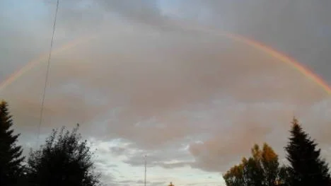 En bild på regnbågen i början av augusti i Norrfjärden.