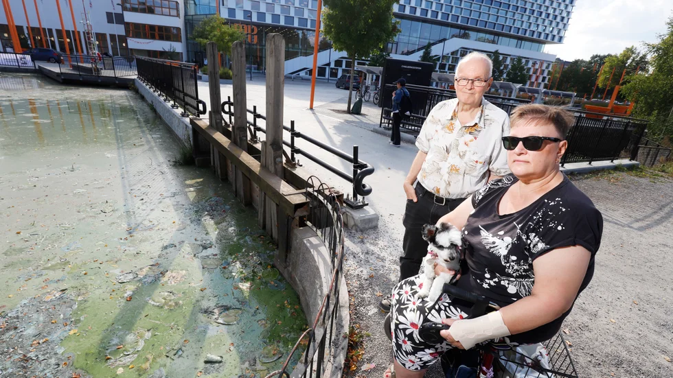 När Rauha Komush och sambon Mauno Vähäkuopus flyttade till Eskilstuna från Bålsta 2016 föll de för den vackra stadsbilden intill ån.