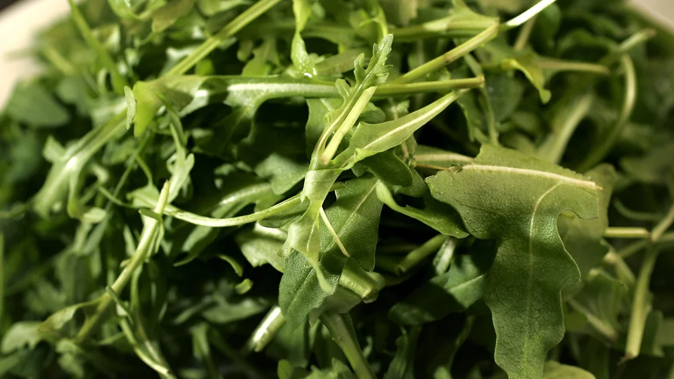 Ica återkallar rucola efter att ha hittat spår av salmonella. Arkivbild.