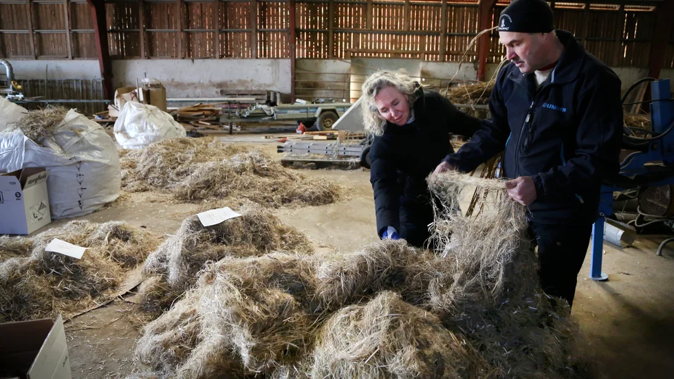 Clara Norell och Anders Thunegard med hampfiber som ska skickas till forskningsprojektet hos Borås textilhögskola. Testresultaten är hittills mycket goda för att göra textil av fröhampans restprodukter.