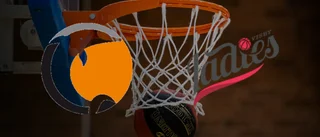 Repris: Visby Ladies mot Norrköping Dolphins – se matchen här
