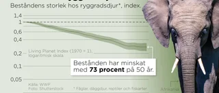 Tre av fyra djur borta – på bara 50 år