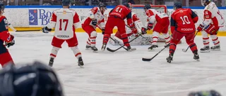 Höjdpunkterna från HockeyVIKen Allstars