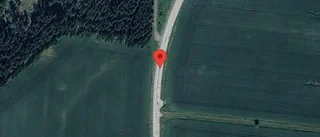 Träd över vägen påverkar trafiken på väg 511