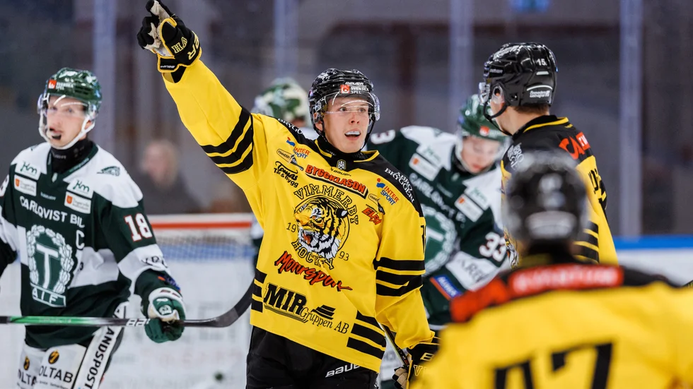Eddie Levin levererade på en makalöst hög nivå målmässigt i Hockeyallsvenskans grundserie. Med sina 22 fullträffar kom han delad fyra i serien. Levin var även lyckosam i mötena mot Tingsryd där han nätade i tre av fyra matcher. 