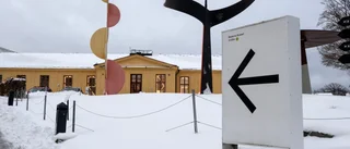 Myndigheterna kan slås ihop – förslaget kritiseras