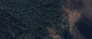 Gård i Arjeplog byter ägare