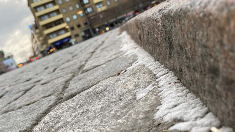 Nej, något snökaos blev det inte i Eskilstuna på torsdagen. Den som letade noga kunde hitta några enstaka flingor som samlats i stenläggningen.