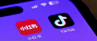 ”Tiktok-förbudet blev en stor flopp”