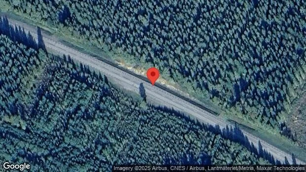 Älg innanför viltstängslet på väg 95