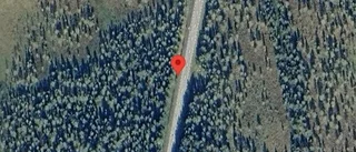 Träd över vägen skapar problem i trafiken på väg 364