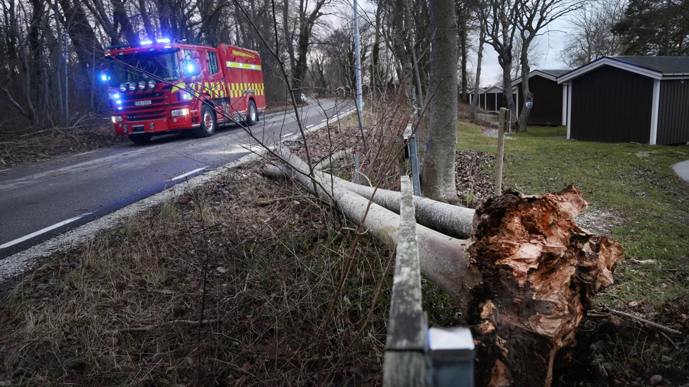 Räddningstjänsten fick på söndagsmorgonen rycka ut för att med hjälp av motorsåg röja bort ett träd som fallit över Sankt Göransgatan, efter lasarettet ovanför Norderstrands camping.