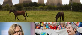 Fem goda nyheter för klimatet i år