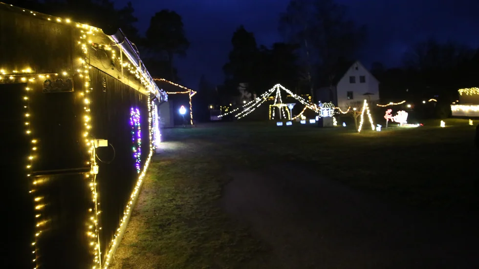 Under sex-sju års tid har julbelysningen i trädgården i Alva utvecklats och byggts ut.