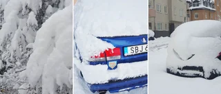 Allt jag ville göra var att hämta mina vinterdäck – plötsligt såg jag döden i vitögat