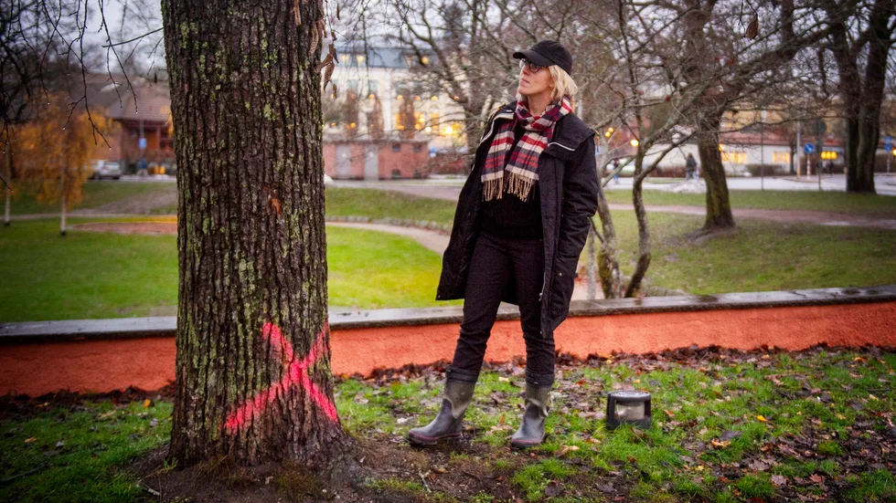 Nina Törn, trädgårdsingenjör på parkavdelningen vid en av de markerade almarna som måste tas bort från Gripsholmsparken.