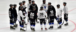Sirius drömstart räckte inte mot Sandviken – läs direktrapporten i efterhand