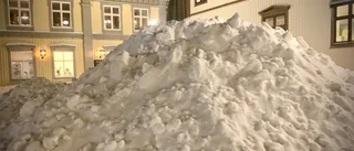 Läsarbilden                   
