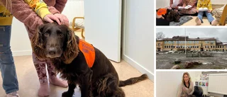 Här får eleverna hjälp att läsa – av hunden Sigge