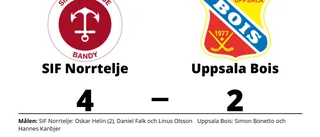 Simon Bonetto och Hannes Kanbjer målskyttar när Uppsala Bois föll