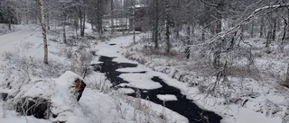 Läsarbilden                   