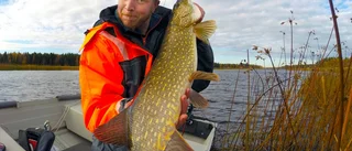 Pier Rynbäck - sportfiskare med blick för fotot