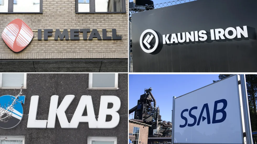 Fackförbundet IF Metall, som kongressar i Göteborg 28/11-2/12, ger röst åt ungefär 313 000 svenska industriarbetare. 