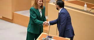 Det är inte hatet som bär partiledarna