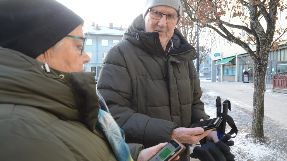 Lurade. Ove och Vivianne Andersson betalade 1 500 kronor i förskott för en gullig kattunge. Bakom annonsen stod sannolikt en dömd storbedragerska.