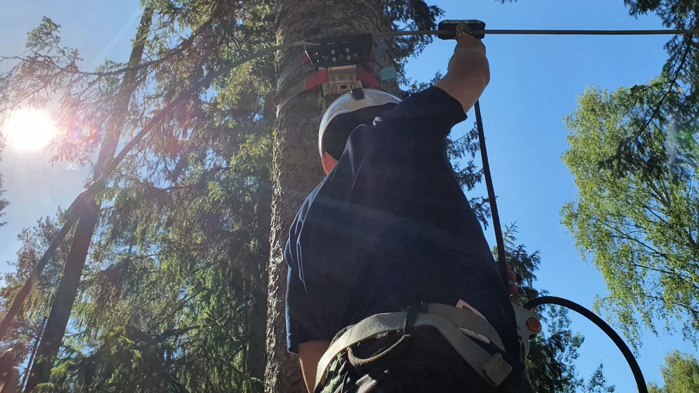 Ärendet mot Skellefteå Adventurepark är avslutat. Företaget har bytt ut de gamla selarna mot helkroppsselar och kommit in med den dokumentation kring säkerhet som konsumentverket efterlyste.