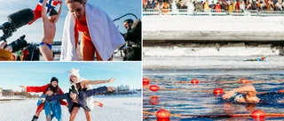 The world's toughest swimming competition • Skellefteå's coolest doctor • A group of friends from Northvolt • Results