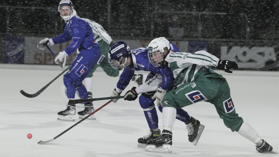 IFK Motalas elitlag bör hitta egna finansiärer för en bandyhall, menar insändarskribenten.