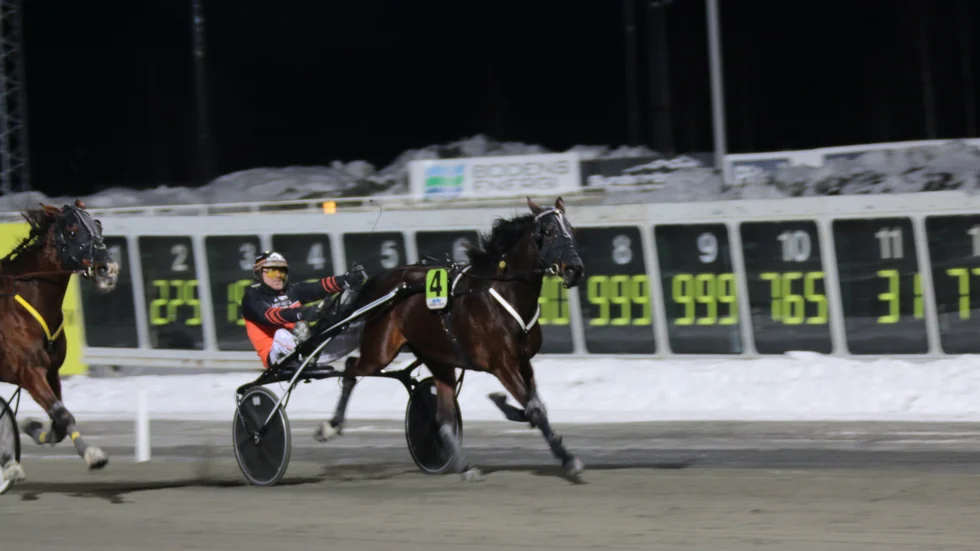 Olly Håleryd (Ove A Lindqvist) imponerade stort i årsdebuten på Bodentravet